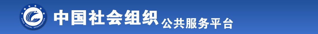 搔比插入鸡扒全国社会组织信息查询